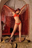 Ariel Piper Fawn-a369hnjdm0.jpg