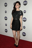 http://img252.imagevenue.com/loc546/th_97274_Lucy_Hale_Disney_Winter_Press_Tour_022_122_546lo.jpg